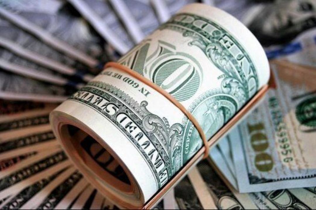 ارز ترجیحی عنایت به عده‌ای خاص بود، نه حمایت از مردم