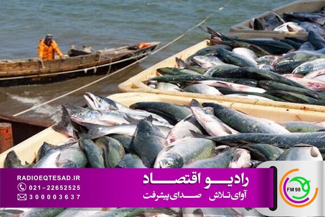 واگذاری مدیریت بنادر ماهیگیری برای افزایش بهره‌وری و مشاركت مردمی