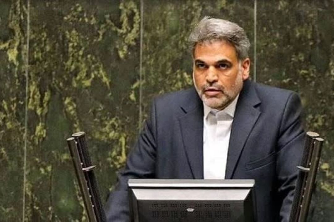 حذف ارز ترجیحی بدون برنامه دقیق، شوك شدیدی به معیشت مردم وارد می كند