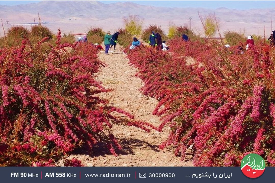 سفر ایران‌جان به خراسان‌جنوبی