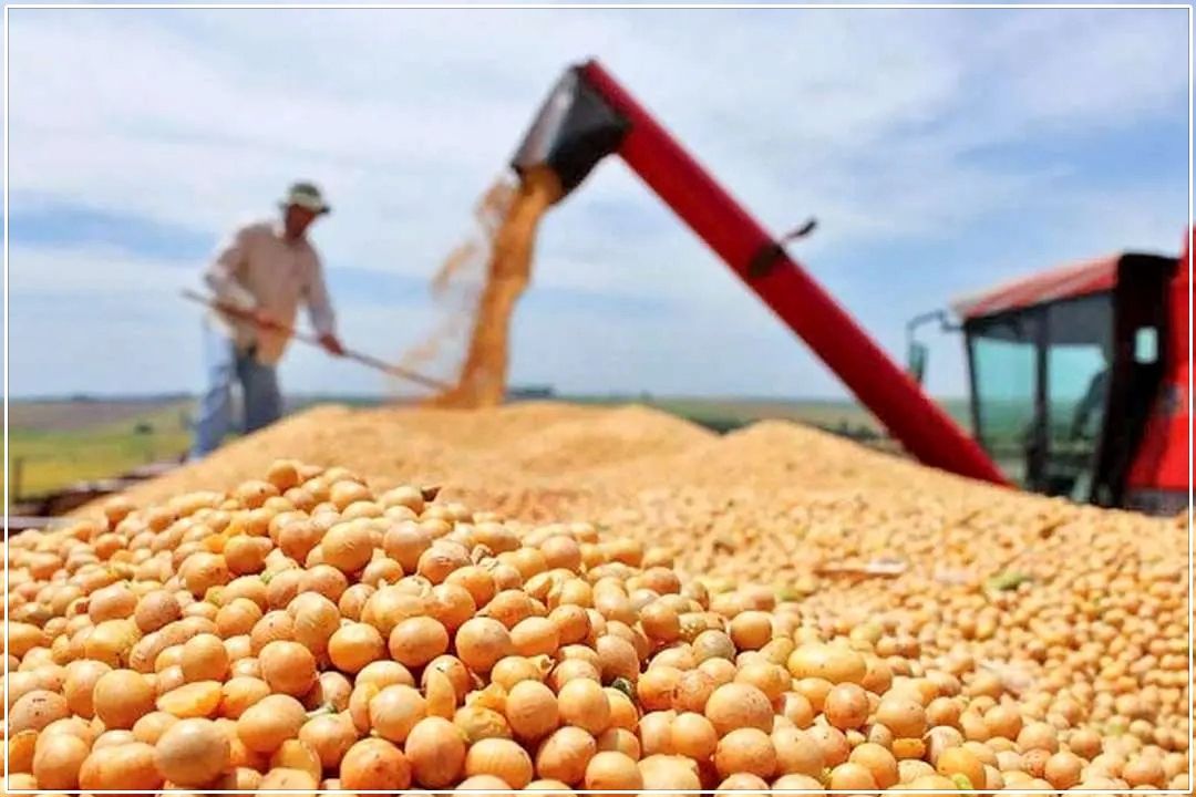  بحران تأمین نهاده‌ها؛ هشدار مرغداران درباره احتمال اختلال در بازار تخم‌مرغ