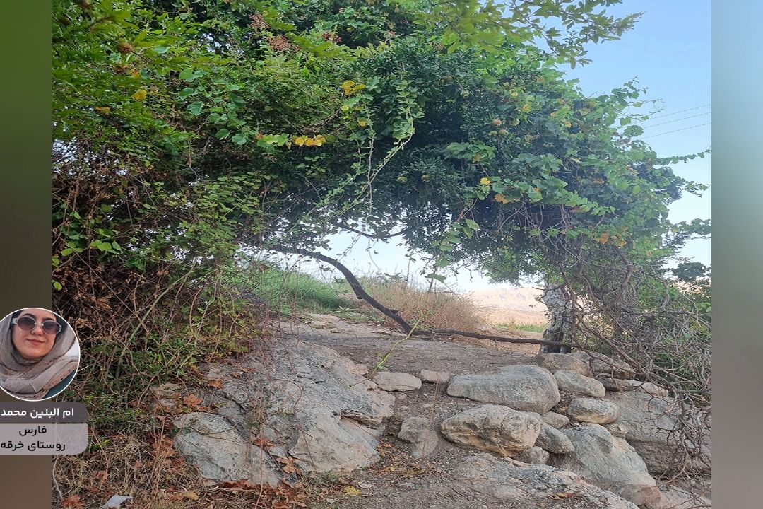 ایران زیبای من "ام البنین محمدی" از فارس