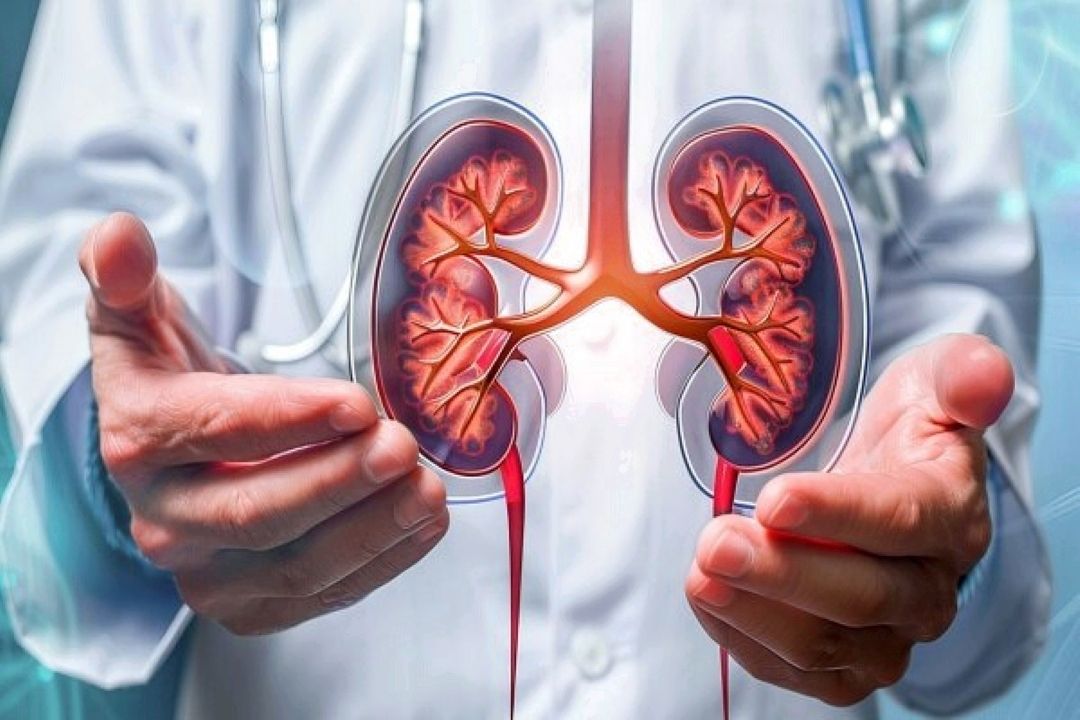 هشدار درباره افزایش بیماری‌های كلیوی در كودكان و بزرگسالان