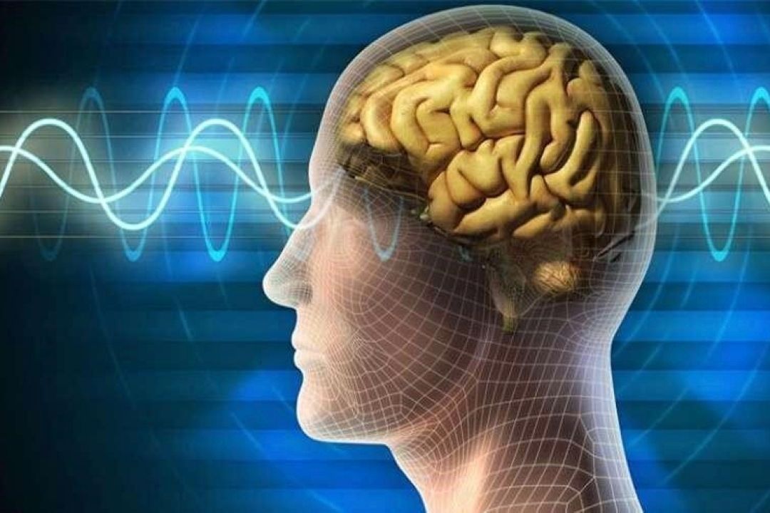 اضطراب، تصمیم‌گیری منطقی را مختل می‌كند؛ خاموشی مغز در لحظه‌های استرس 