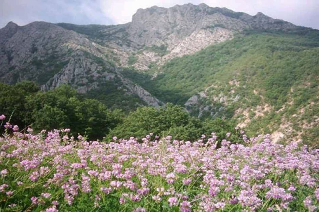 دِشت؛ سرزمین دشت‌های سبز و آسمان پاك شمال شرق