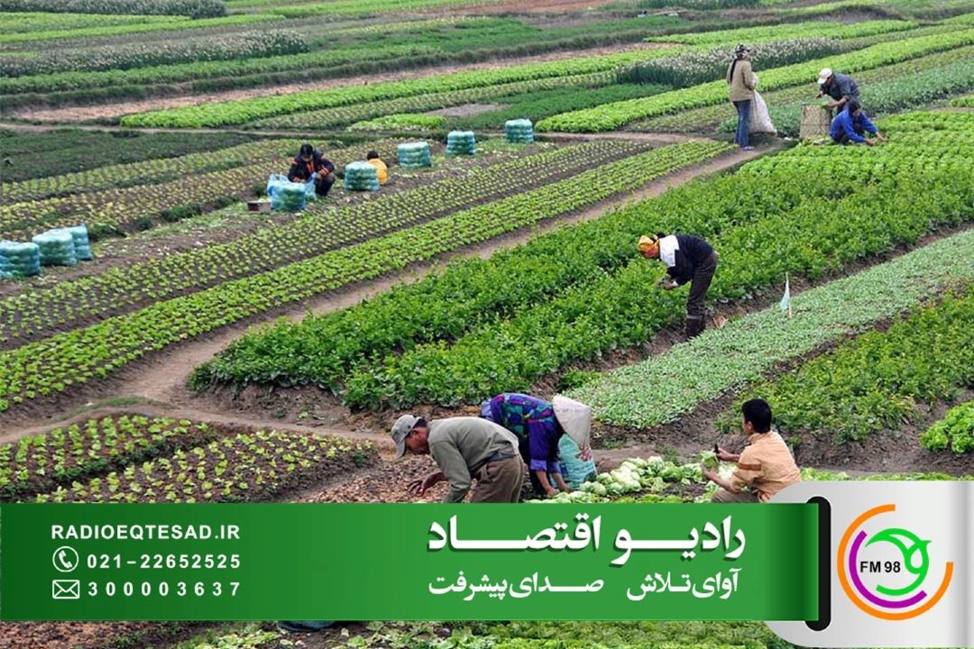 توسعه كسب و كارهای روستایی، با ایجاد زیست بوم روستا