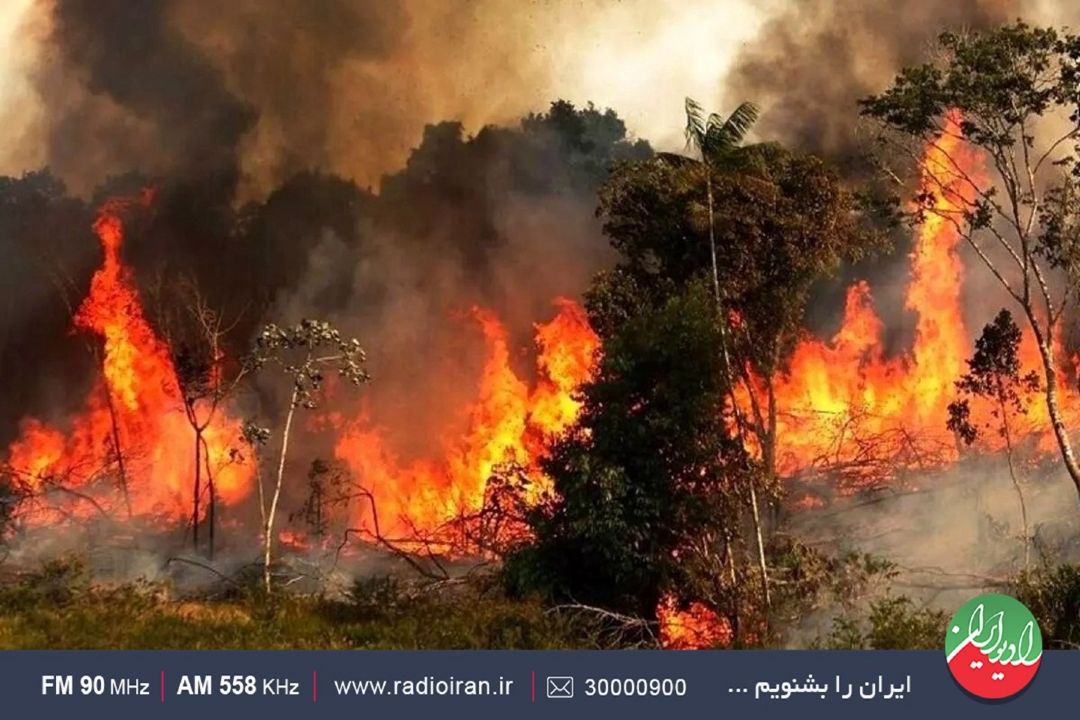 ایران در اطفای حریق سیستم كارآمدی دارد