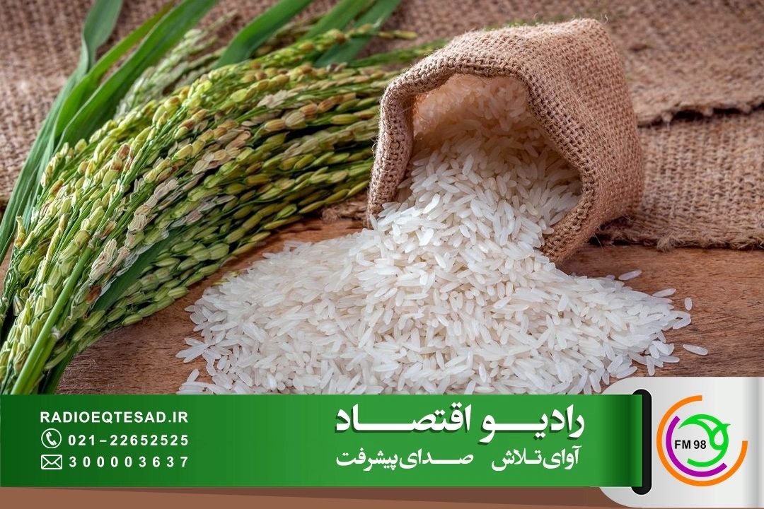 آغاز ثبت‌سفارش 180 هزار تن برنج وارداتی / هشدار انجمن واردكنندگان درباره تأمین ارز