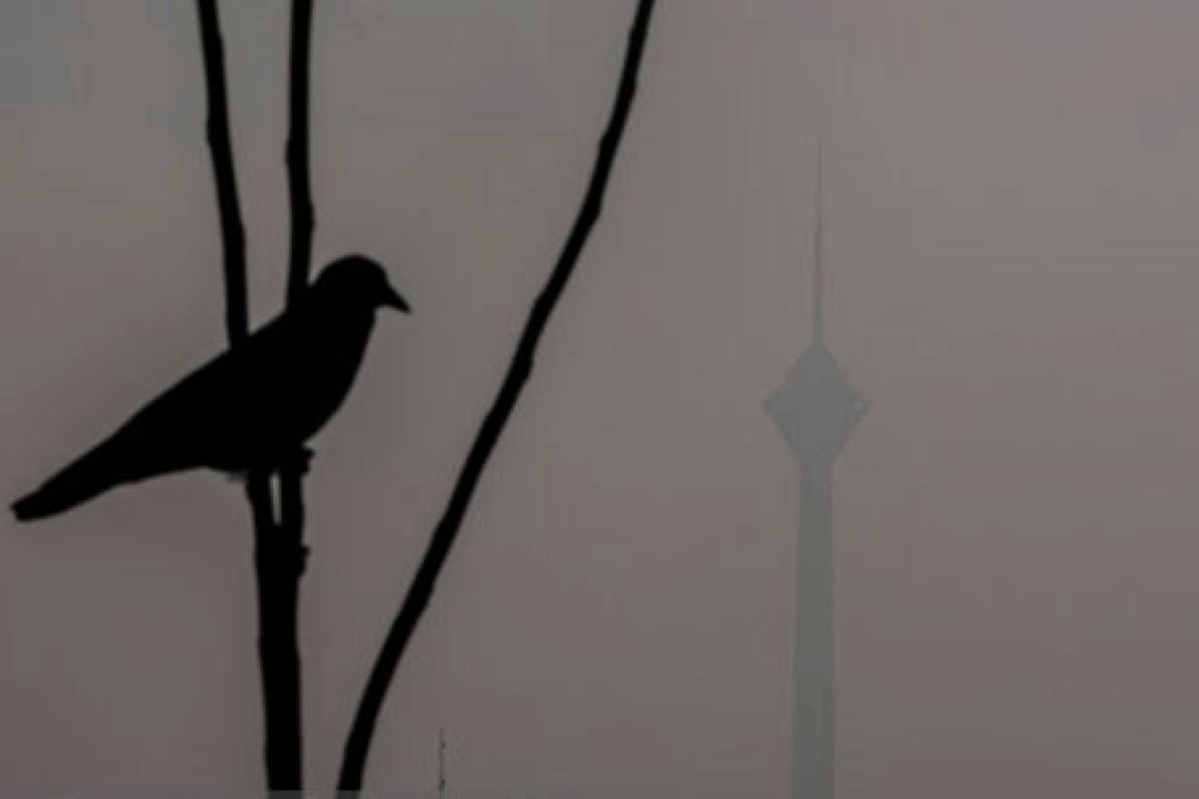 آلودگی هوا دست از سر تهران بر نمی‌دارد؛ وضعیت دوباره قرمز شد