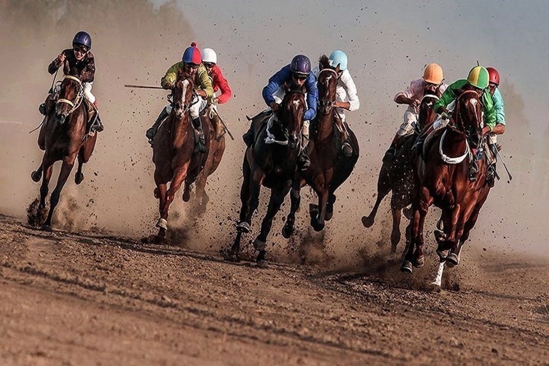 ضرورت بازسازی هویت سواركاری ایران