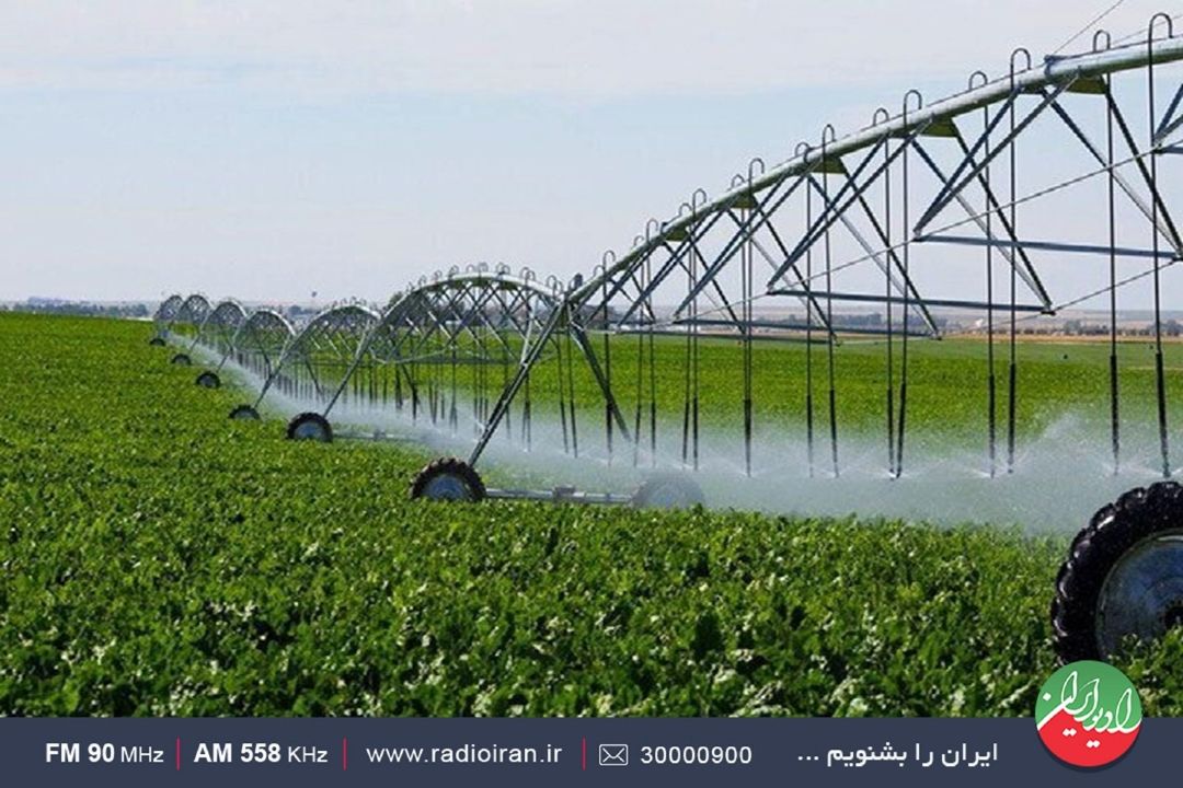 استان گلستان خاك حاصل‌خیزی دارد 