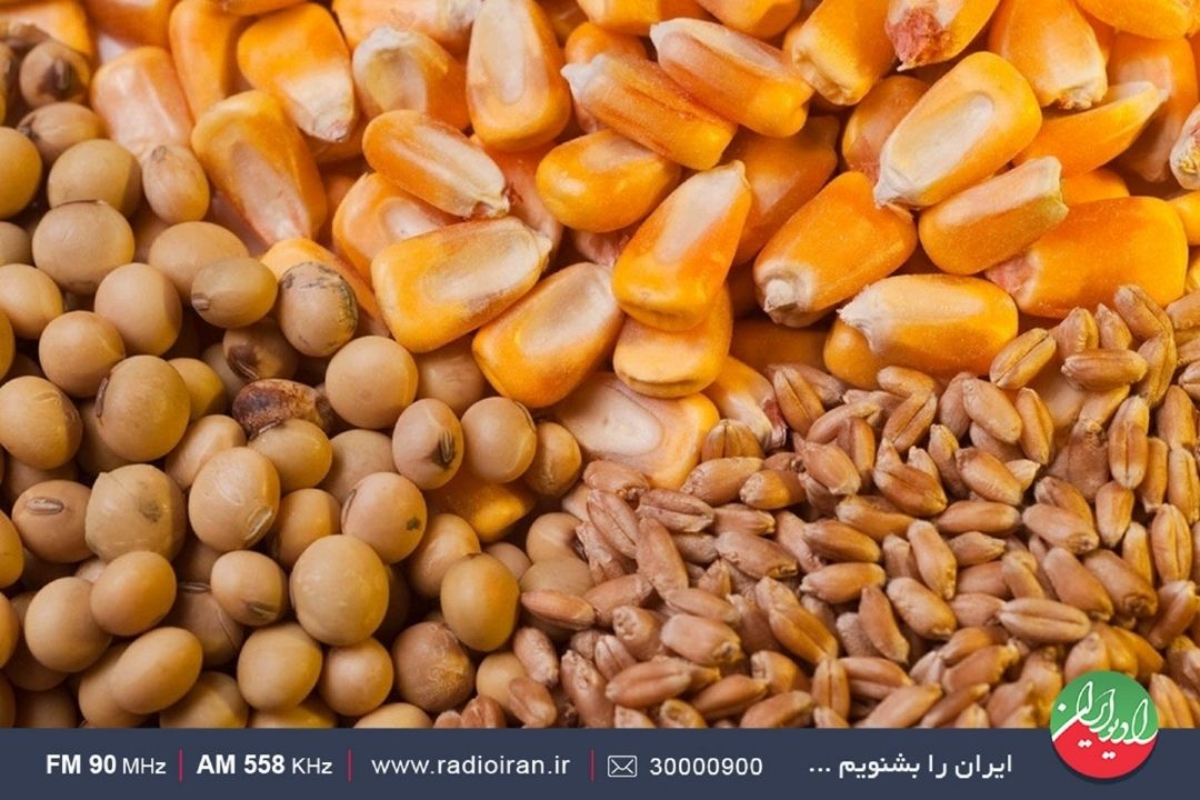 مخالف ارز 28 هزار و 500 هستیم