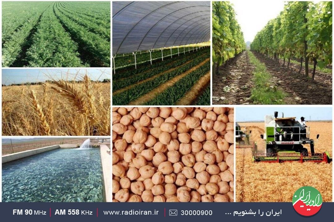 عمده درآمد روستاییان از كشاورزی است