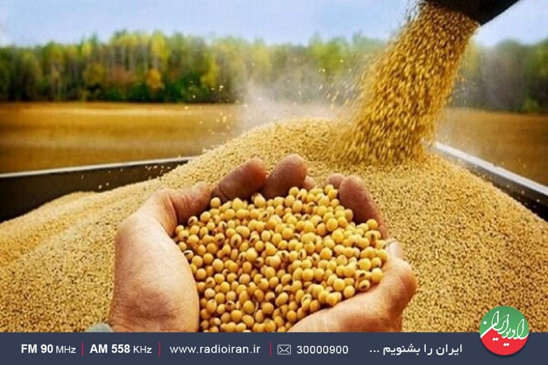 باید مشخص‌شود چه نهادی اشتباه كرده است 