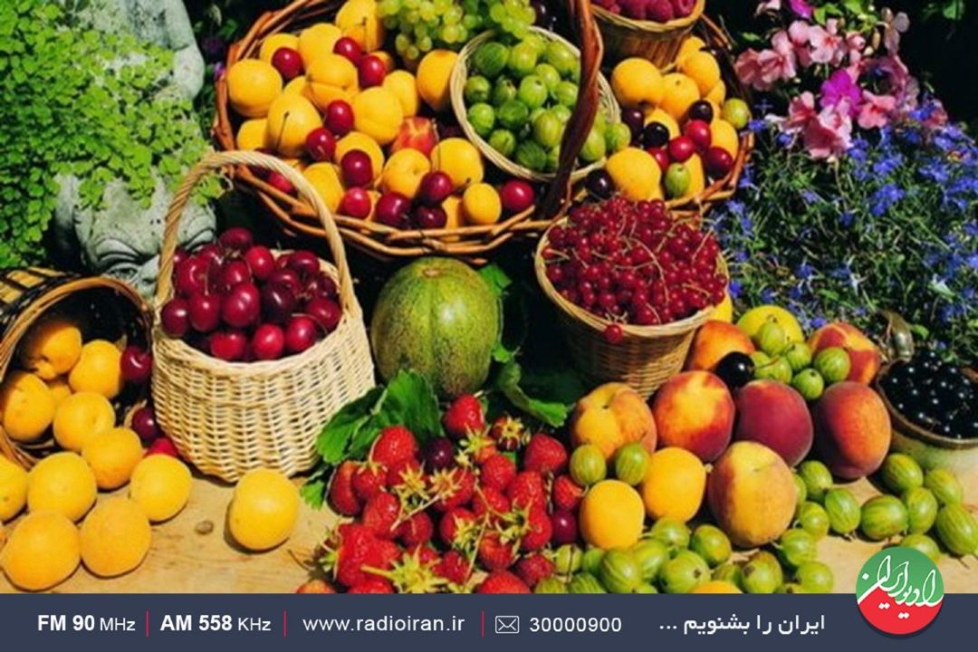 خام‌فروشی از عمده مشكلات استان است