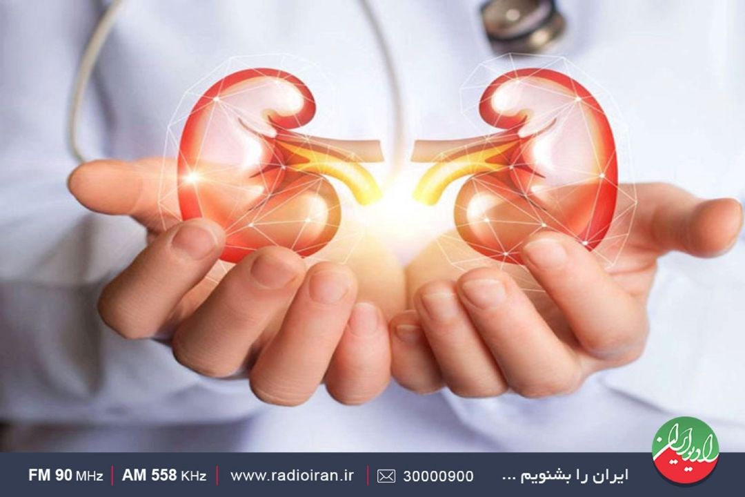850 میلیون نفر مبتلا به بیماری كلیوی هستند
