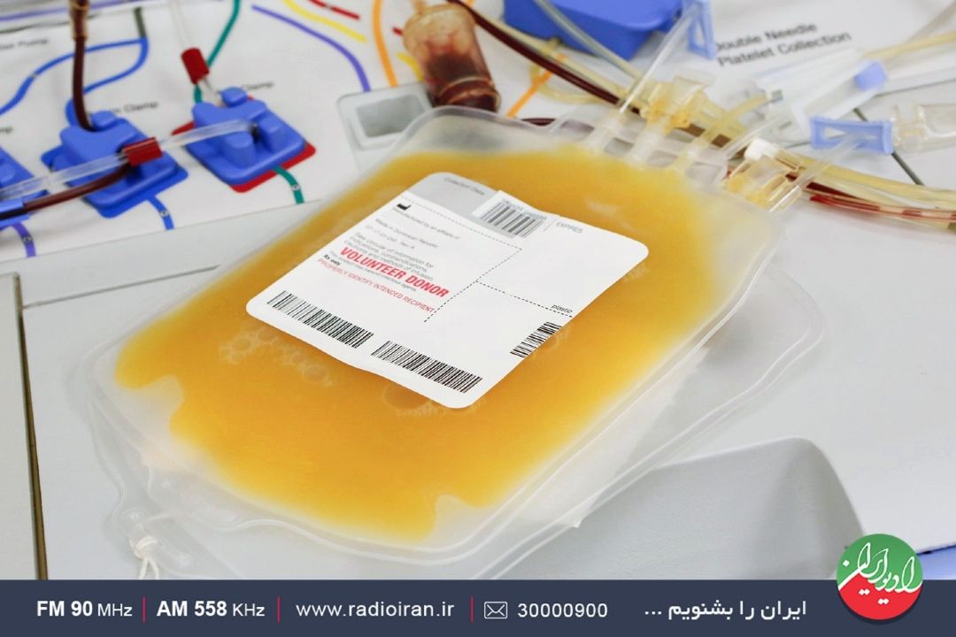 خون طلایی‌مرزها، فیلم پخته‌ای است