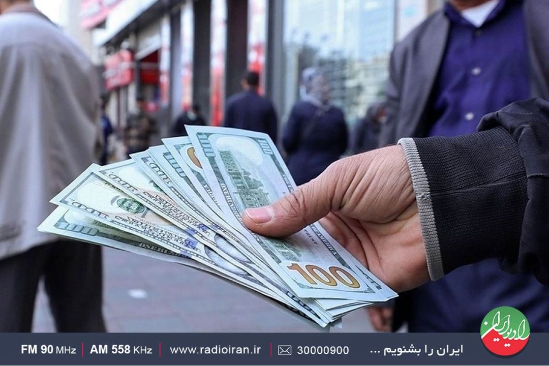 هشدار كارشناس پژوهشكده پولی و بانكی درباره كمبود ارز و پیامدهای آن بر بازار