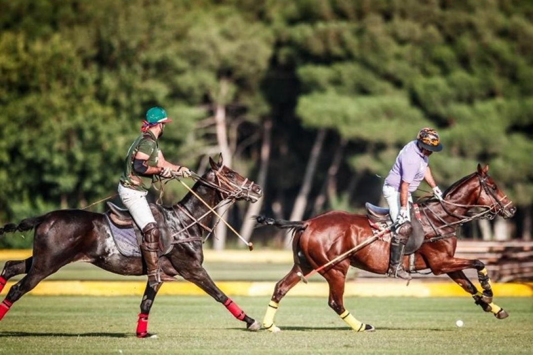  توسعه چوگان در كشور با تمركز بر جوانان و استعدادها