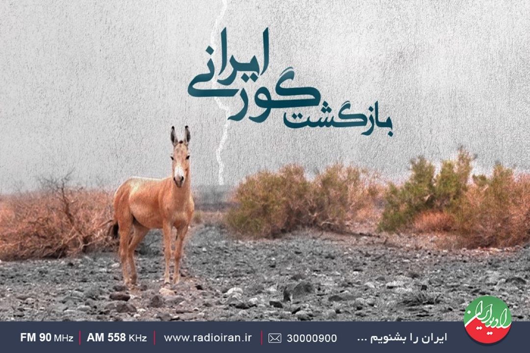 بازگشت گورایرانی در سینما حقیقت  