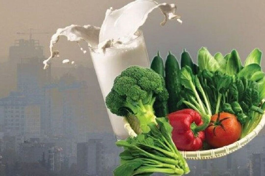 توصیه‌های طب مكمل برای روزهای آلوده