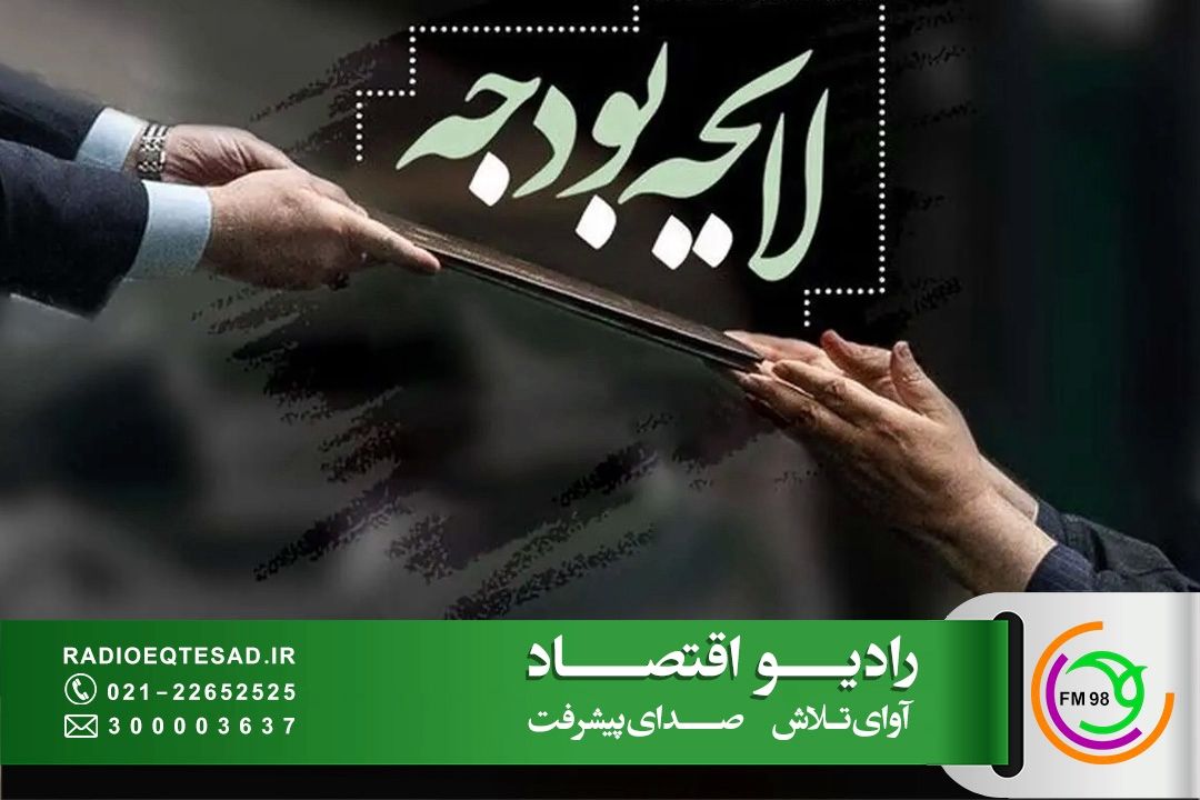 بودجه به هیچ عنوان نباید ریاضتی باشد 