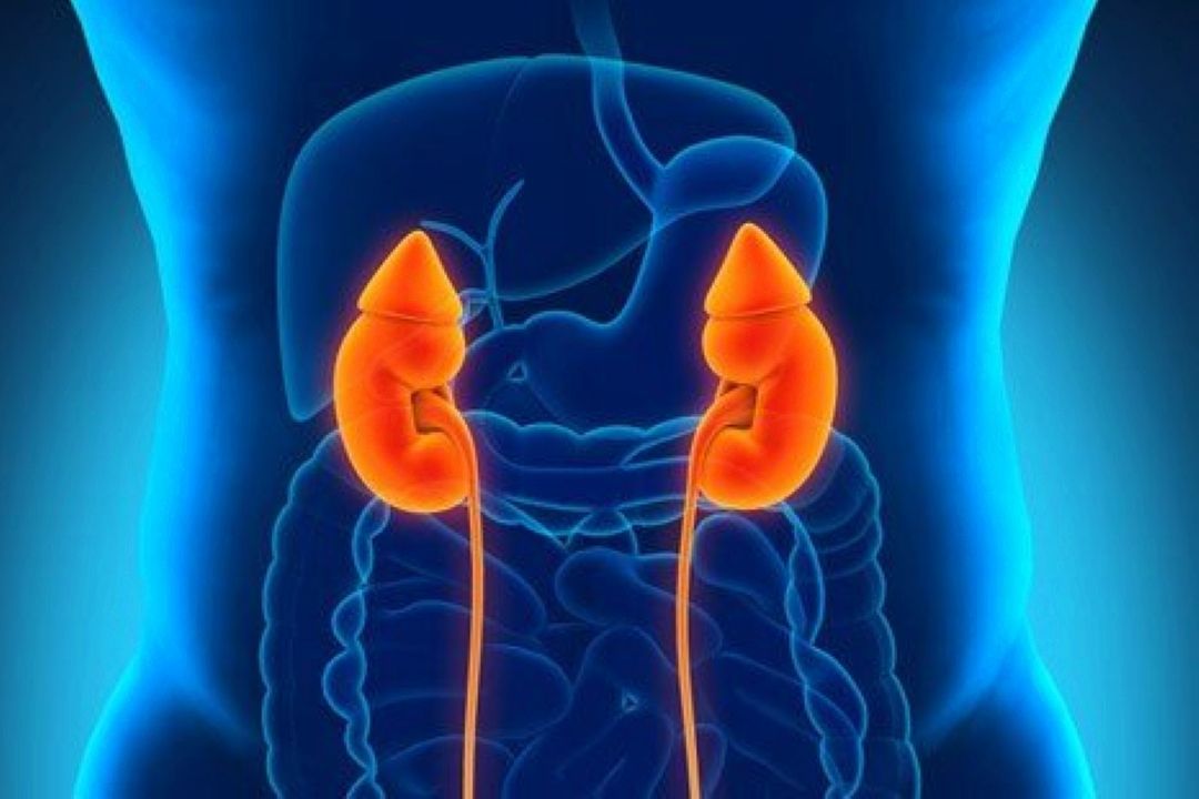 بیماری نارسایی كلیه‌ از عوارض مصرف خودسرانه دارو و كم آبی بدن است