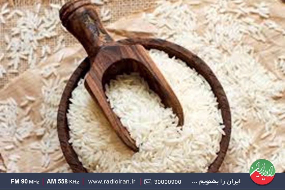 بررسی چالش‌های تامین ارز وتوقف برنج وارداتی و هشدار دبیر انجمن برنج