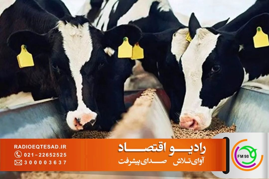 بازارگاه؛ از وعده شفافیت تا چالش ناكارآمدی