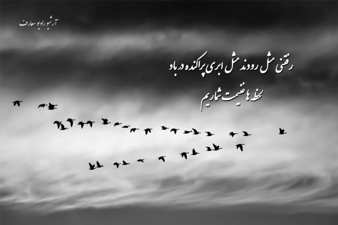  رفتنی مثل رودند