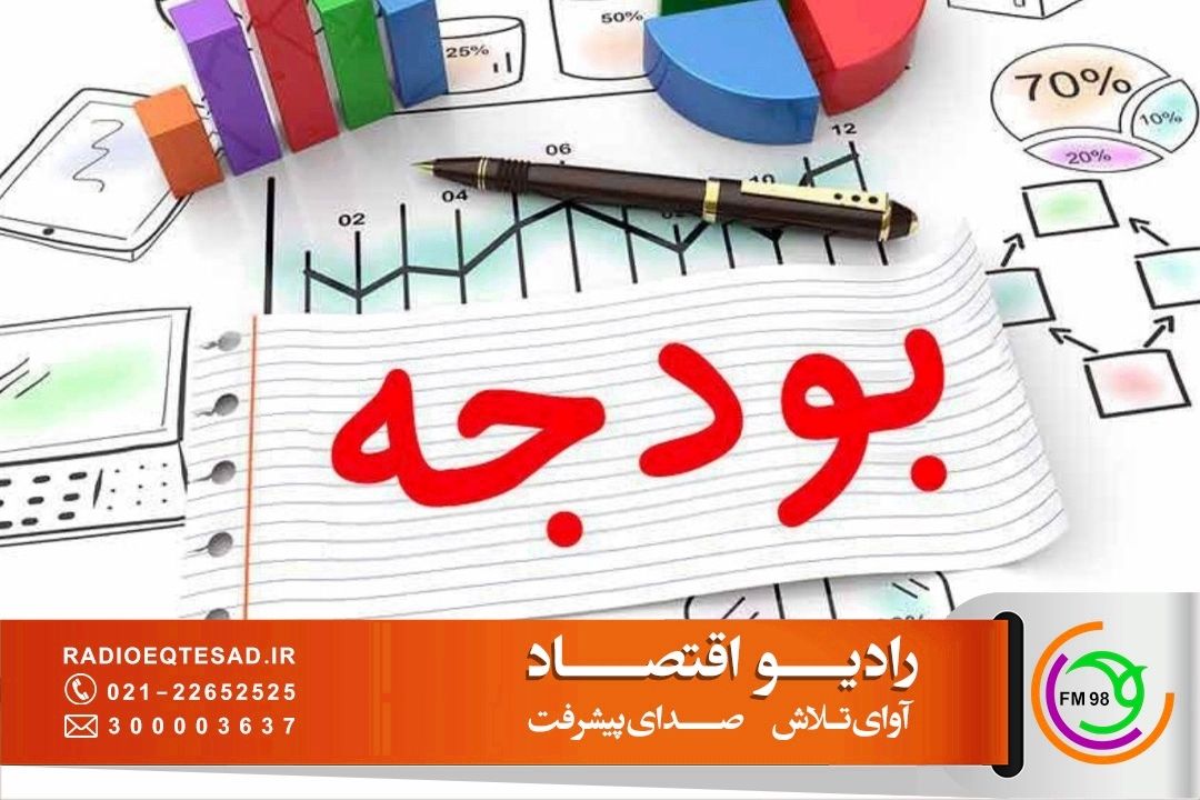 بودجه به تنهایی تعیین كننده میزان تورم در كشور نیست