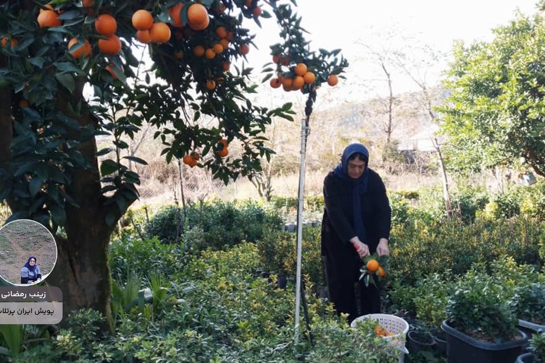 ایران پرتلاش"زینب رمضانی" 