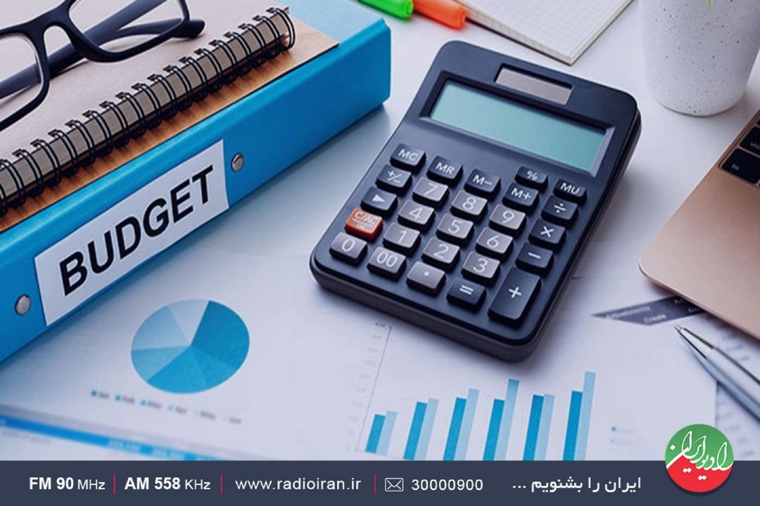 بودجه سال‌آینده حامی،بخش‌خصوصی نیست