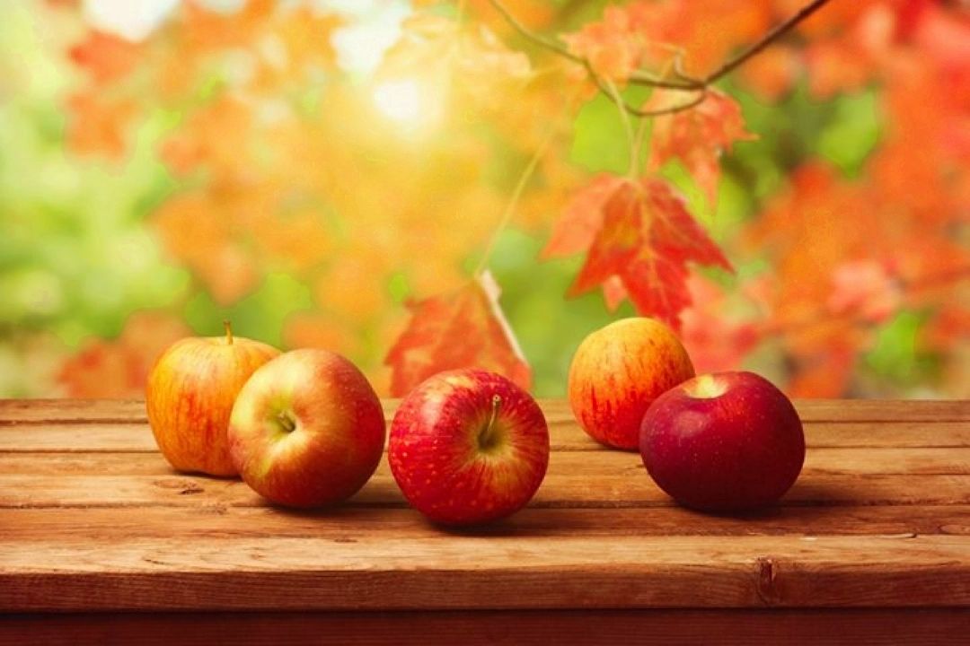 برنامه غذا سلامت زندگی را از رادیو بشنوید