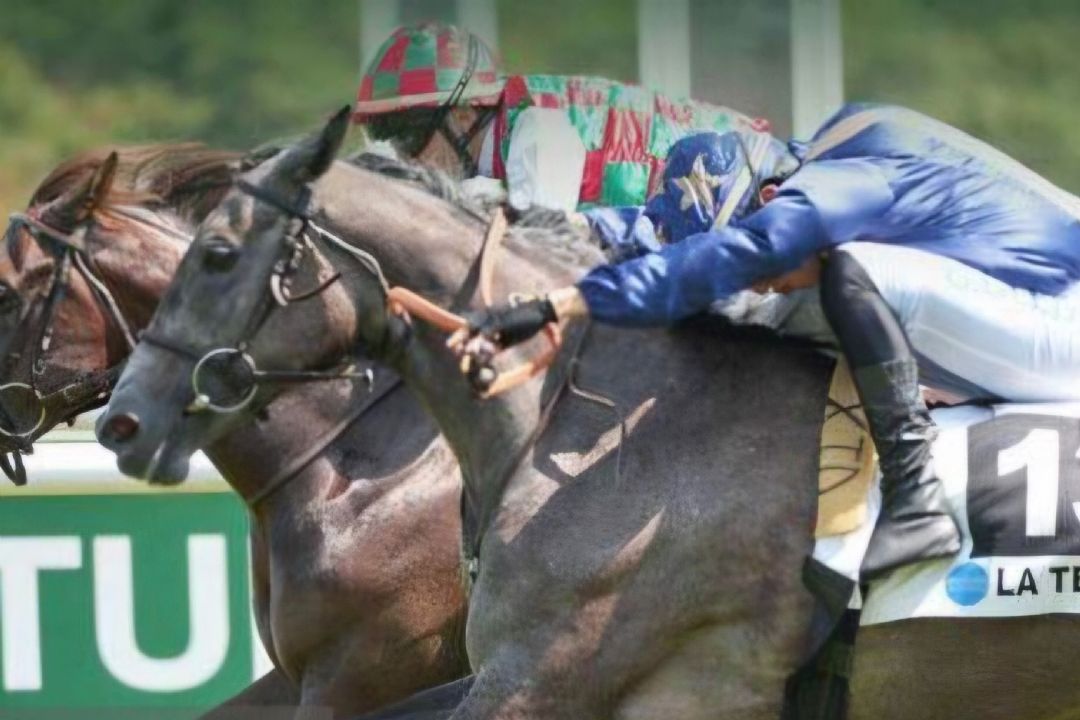 جابه‌جایی ساختمان فدراسیون سواركاری با هزینه 3 میلیارد تومانی