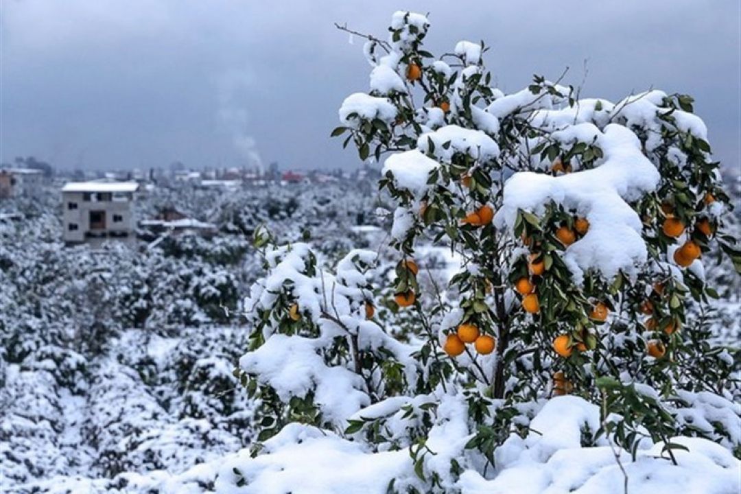ورود سامانه بارشی به كشور طی امروز/ گسترش دامنه بارش تا آخر هفته