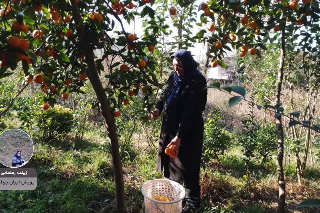 ایران پر تلاش "زینب رمضانی"