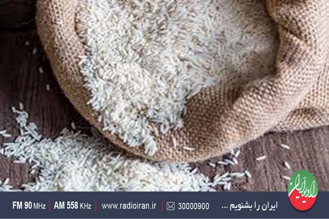 قیمت برنج وارداتی در دوره گذار؛ نوسان‌سازی و چشم‌انداز تثبیت‌پذیری 