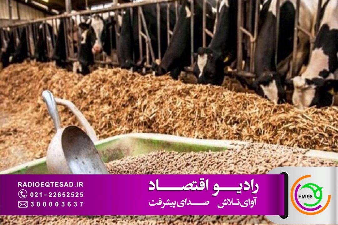 نهاده‌های دامی؛ متغیر پنهان قیمت محصولات پروتئینی