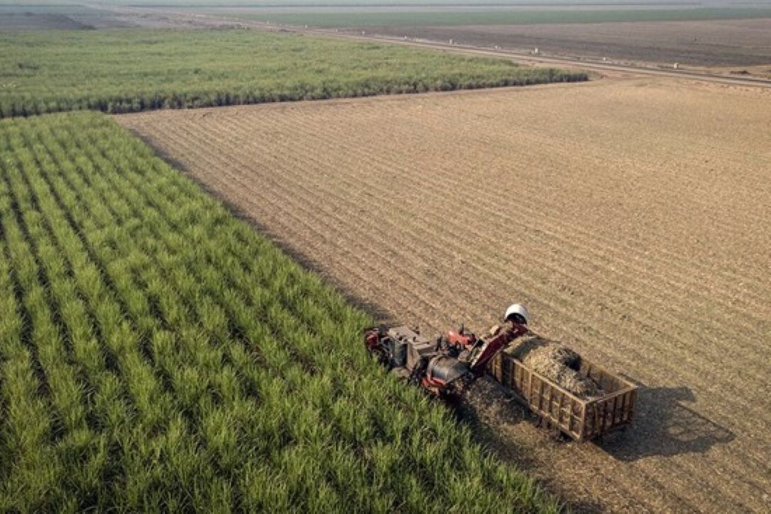 تخصیص یك درصد عوارض واردات به بخش كشاورزی، در راستای حمایت از تولید پایدار است