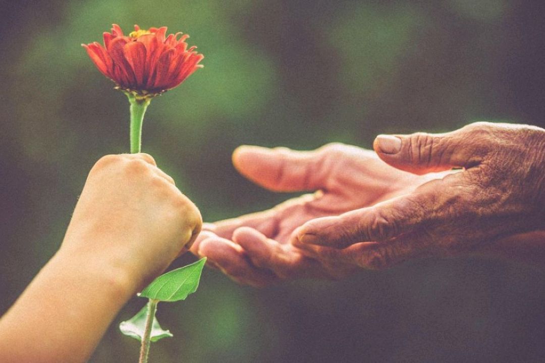 ماجرای قدرانی 