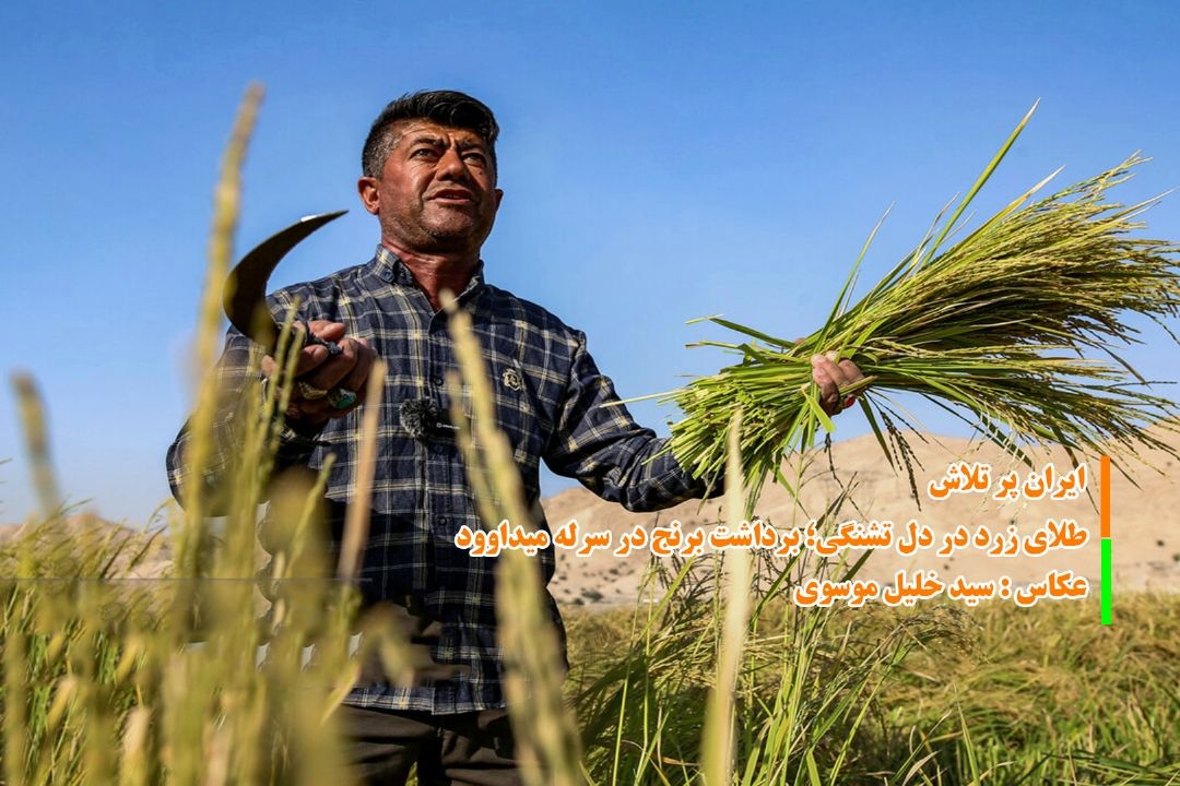 ایران پر تلاش