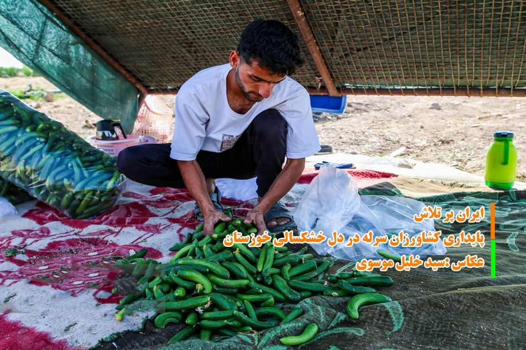 ایران پر تلاش