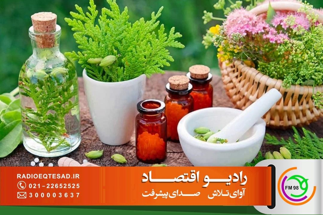 دستیابی به بازار 15 میلیارد دلاری گیاهان دارویی؛ حمایت‌ از توسعه گیاهان دارویی با همراهی مراكز علمی