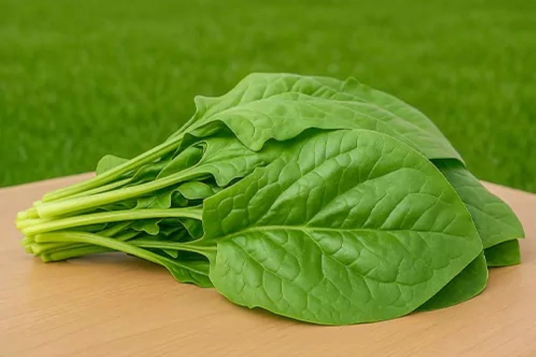 اسفناج؛ سبزی سالمی كه جذب منیزیم را كم می‌كند
