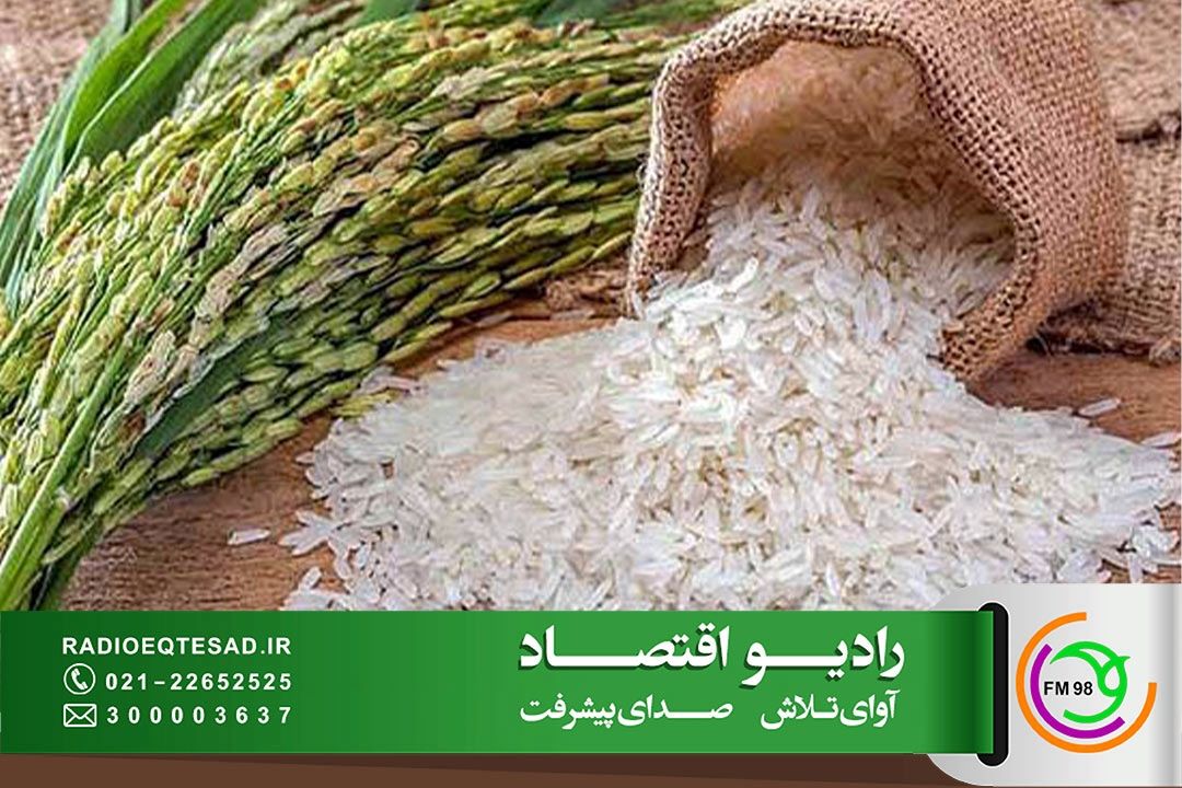 توزیع بیش از هزار تن برنج ایرانی در كشور