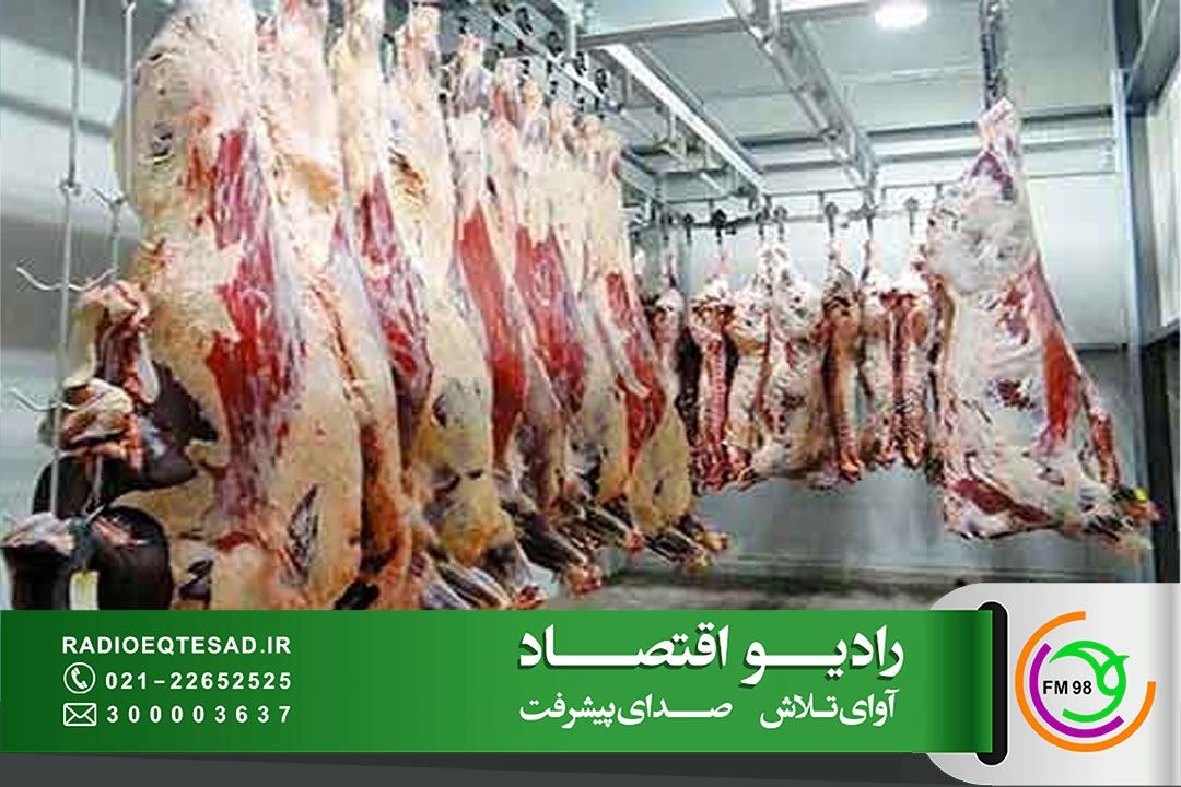  استان تهران در تامین گوشت مرغ و گوشت قرمز هیچ گونه مشكلی ندارد