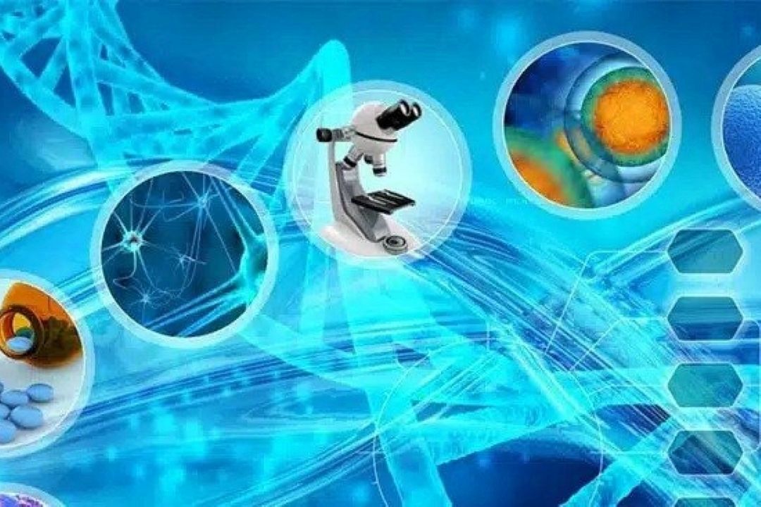  بیعت دانشگاهیان با رهبری، مهر تأییدی بر دستاوردهای علمی جمهوری اسلامی است