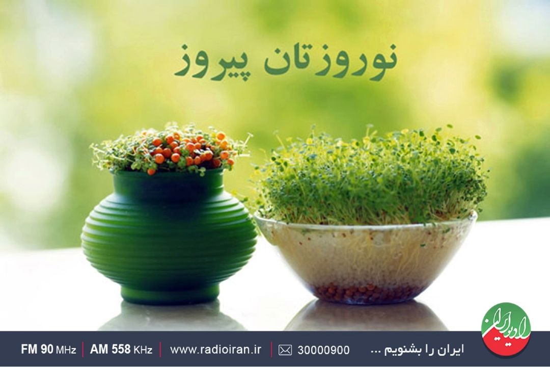 زندگی كه جنگ هم حریفش نشد