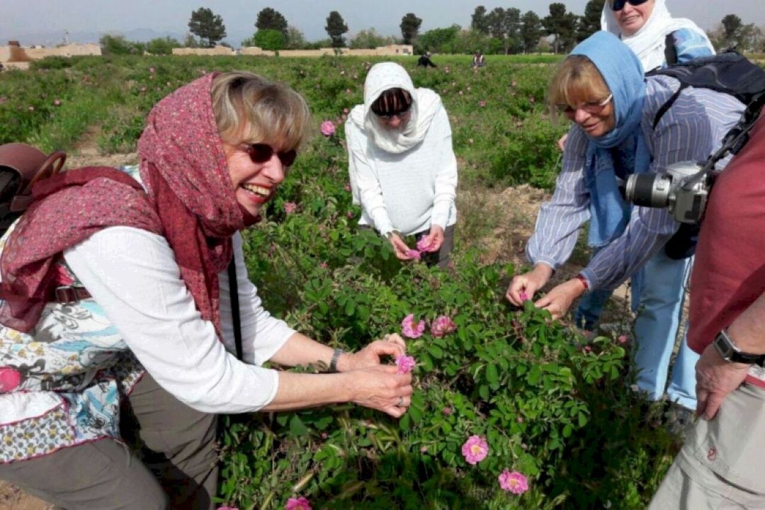  گردشگری كشاورزی و انتقال صنایع؛ راهكار اشتغال‌زایی روستایی